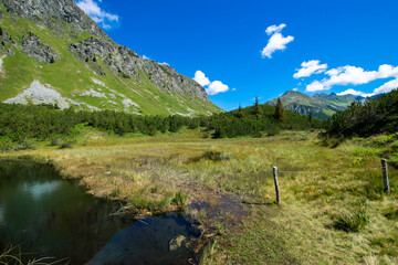 Fototapeta na wymiar lake in the mountains (Wiegensee, Vorarlberg, Austria)