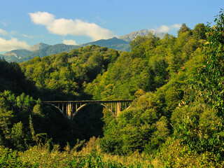 Beautiful green mountains landscape