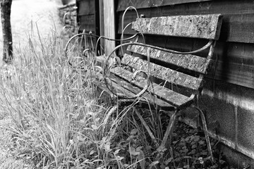 Old garden bench decaying mono