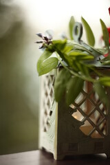 still life with a bouquet of flowers