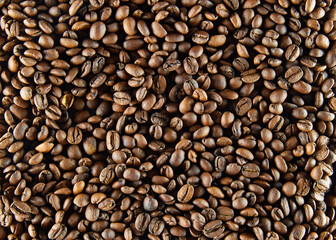 Fresh coffee beans close up