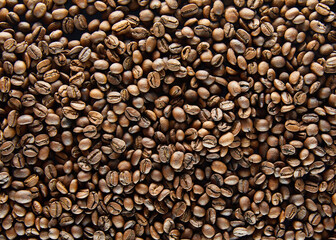 Fresh coffee beans close up.