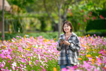 young woman Hold smart phone in  flowering summer garden.woman in the garden of cosmos flowers field.