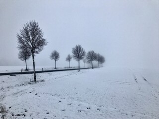 Winterlandschaft bei Helmstedt / Harbke / Marienborn (Niedersachsen, Sachsen-Anhalt)