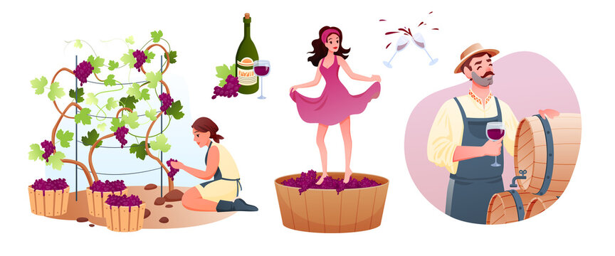 Wine production in traditional winery. Cartoon man woman characters produce natural vine, grow organic grapes, producing wine product, tasting alcohol drink from wooden barrel.