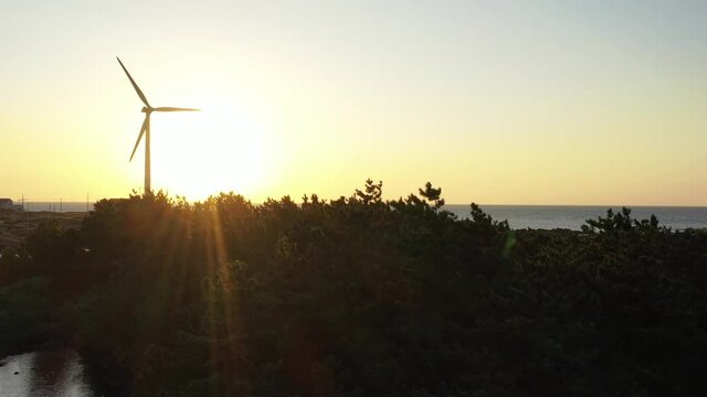 Drone video showing red sunset and windmills and trees and sea