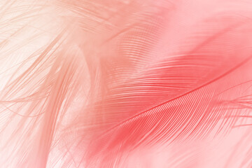 Beautiful red  lines feather texture pattern background