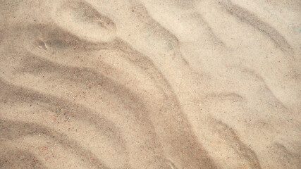 Fototapeta na wymiar beautiful Sandy sea bottom Underwater background. the concept of leisure and travel. soft focuse