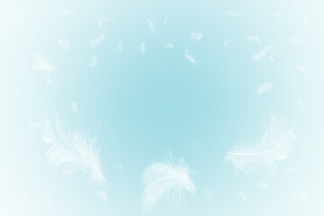Fototapeta na wymiar White feathers floating in the sky with blue pastel. free space for add text or season,festival,baby products and other.