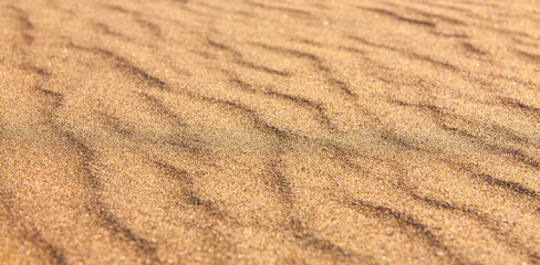 Fototapeta na wymiar Yellow sand closeup as texture. Selective focus