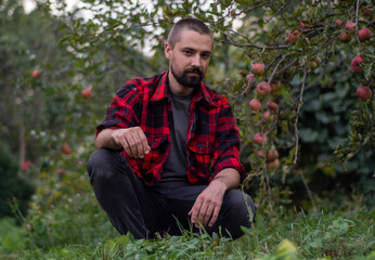 Naklejka na ściany i meble Portrait of a sitting bearded gardener against the background of trees with apples. Organic farm concept. Close-up