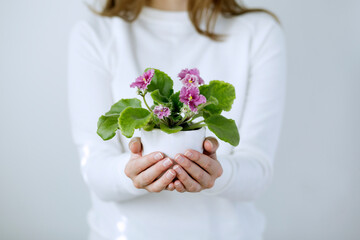A girl poses in the studio with a beautiful flower in a pot on a white background.