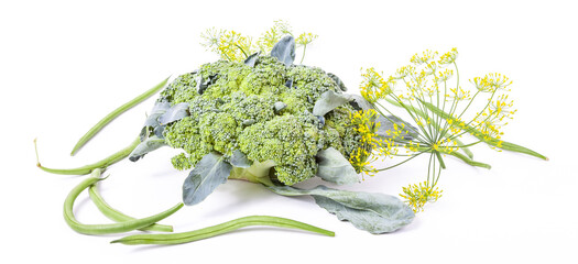 Set of green fresh summer vegetables for vegetarian food preparation. A whole swing of broccoli, green beans and umbrella hats with dill seeds on a white isolated background in a photography studio.