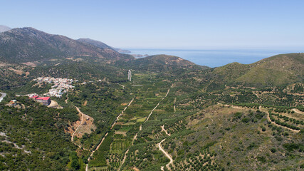 Fototapeta na wymiar Beautiful landscape of the island from a bird's-eye view. Plantations of olive trees in the mountains, road and the sea.