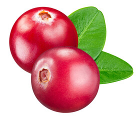 Cranberry isolated on white background