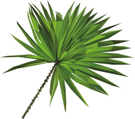 Lowpoly Palmblatt