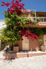 A house with white doors and a balcony is surrounded by red beautiful flowers.
