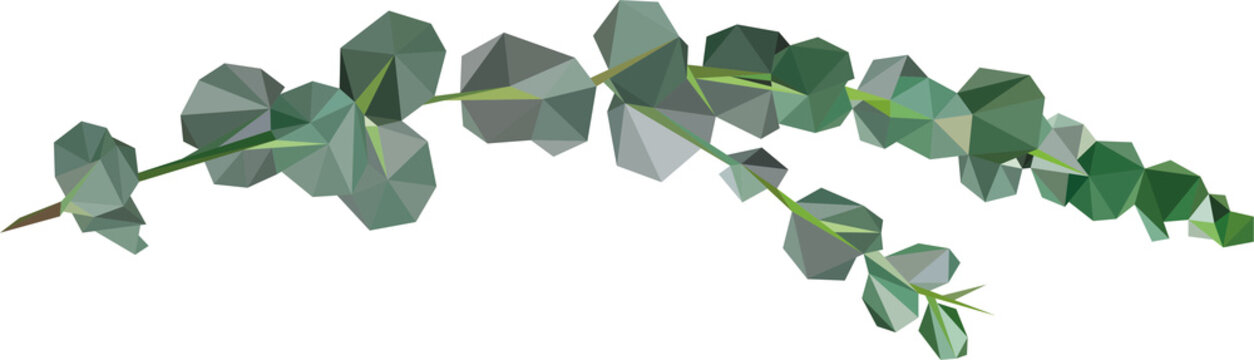 Lowpoly Eucalyptus