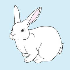 White rabbit with pink cheeks. Easter symbol on a blue background.