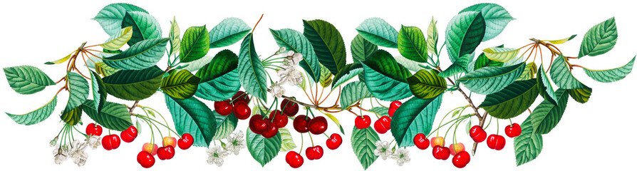 Antique red cherry fruits and green leaves border arrangement