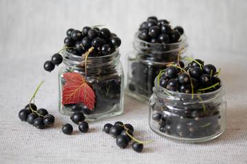 Black currants in glass jars. Fresh berries with leaves and stems. Autumn harvesting. Organic food. Still life photography