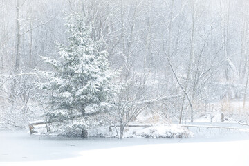 Schneesturm an einem Natursee