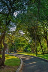 Footpath in Park next to green trees and sunshine for running or walking at Bangkok Thailand
