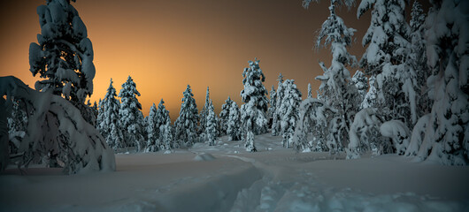 Serene winter wonderland with heavy snow on tall pine trees. Night photo.