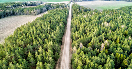Belarus. Road in the green forest from a bird's eye view.