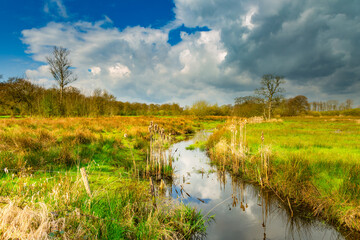 Landscape nature reserve along Scheebroekerloop in the Dutch province of Drenthe with natural bank plants and reflection in the water of the brook against a sky with dark rain clouds