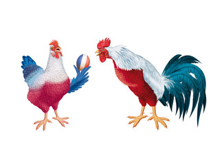 poulet, coq, de France, Français, ,  oiseau, oeuf, fière, production, animal, ferme, volaille, coquelet, isolé, poule, rouge, blanc, bec, nature,  oiseau, agriculture, coloré, domestique, rural, beau 