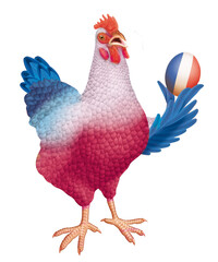 poulet, coq, de France, Français, ,  oiseau, oeuf, fière, production, animal, ferme, volaille, coquelet, isolé, poule, rouge, blanc, bec, nature,  oiseau, agriculture, coloré, domestique, rural, beau 