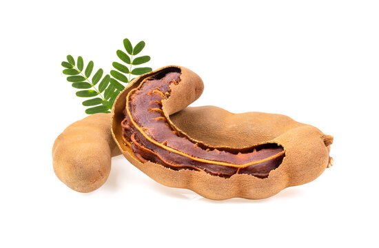 tamarind isolated on white