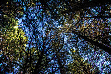 viajar por el mundo- travel the world
