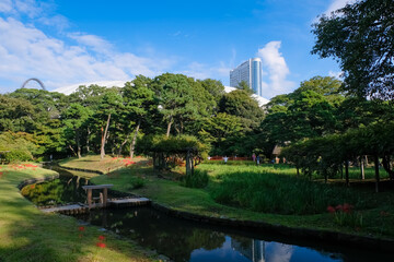 Fototapeta premium 小石川後楽園