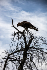 viajar por el mundo- travel the world
