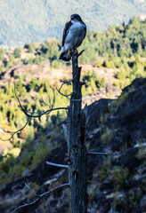 viajar por el mundo- travel the world
