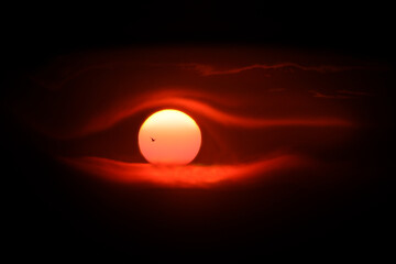 large setting sun with a seagull in the background similar to a human eye