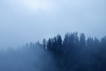 The path to Spiegelsee in Reitaralm, Austia
