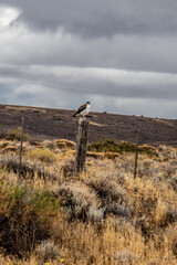 viajar por el mundo- travel the world
