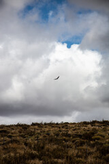 viajar por el mundo- travel the world
