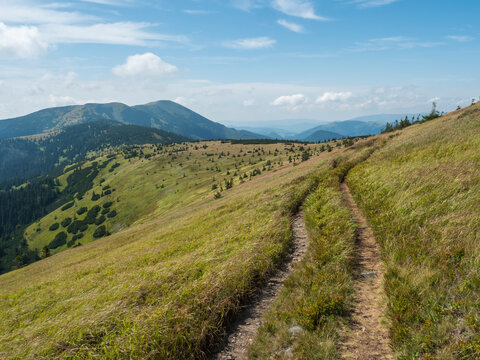 Grassy green hills and slopes at ridge of Low Tatras mountains with hiking trail footpath, mountain meadow, and pine scrub, Slovakia, summer sunny day, blue sky background