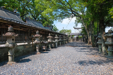 Fototapeta premium 田辺市 闘鶏神社