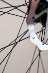 Bicycle disc brake rotor