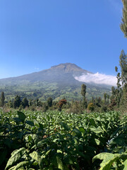 landscape of the mountains