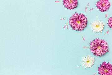 Creative layout made with white and violet flowers on pastel blue background