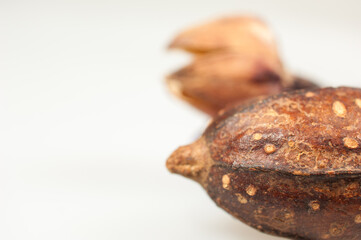 Potpourri isolated on white background