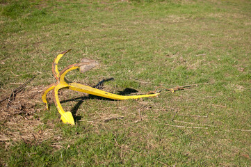 Old rusty yellow anchor