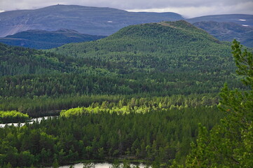 Fototapeta premium E6 etween Porsangmoen & Karasjohka, Finnmark County, Norway.