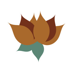 Two hazelnuts with green leaves on a white background